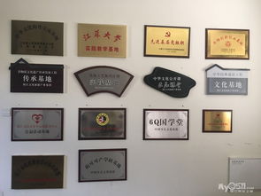 專業(yè)廣告圖文設計制作與網(wǎng)頁設計 打造品牌視覺影響力